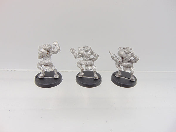 Chaos Beastmen