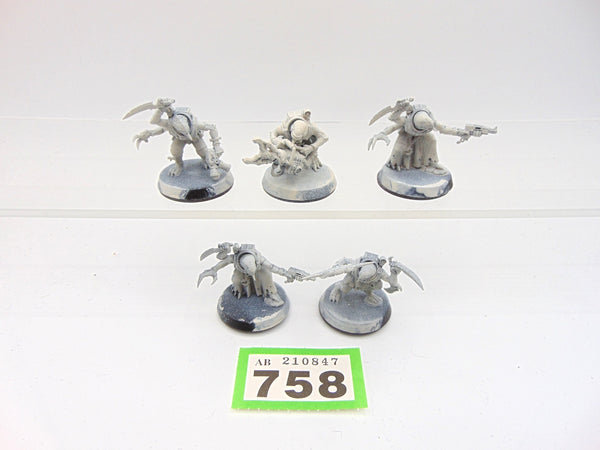 Acolyte Hybrids
