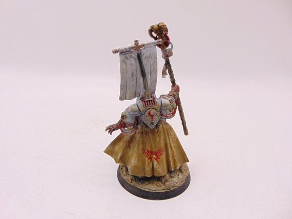 Chief Librarian Tigurius