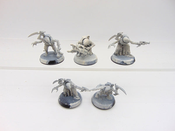 Acolyte Hybrids