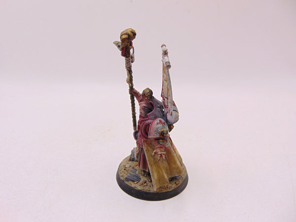 Chief Librarian Tigurius