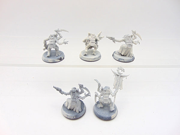 Acolyte Hybrids