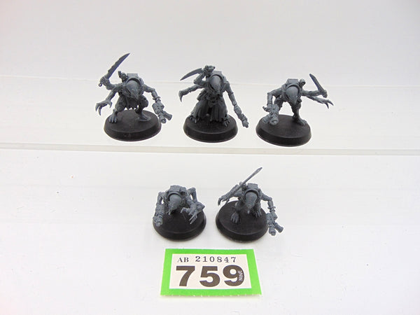 Acolyte Hybrids