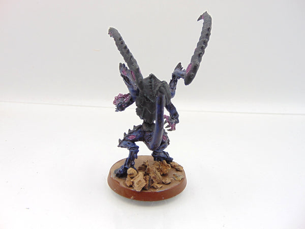 Lictor