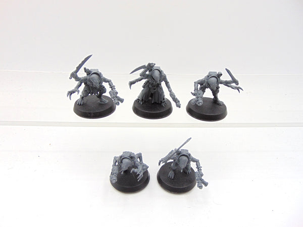 Acolyte Hybrids