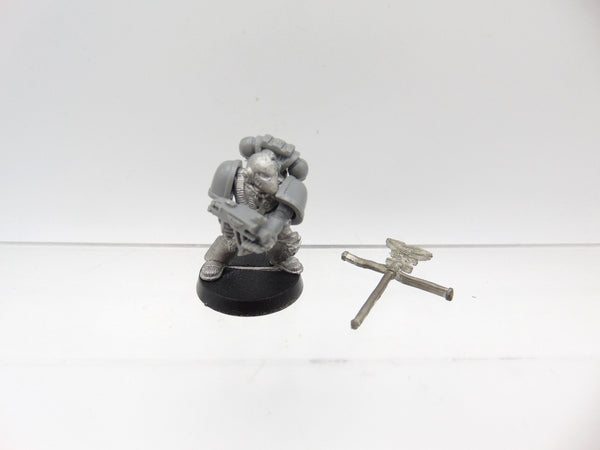 Grey Hunter