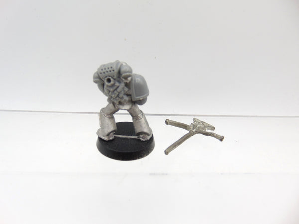 Grey Hunter