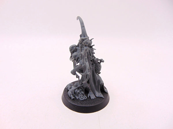 Marrowscroll Herald