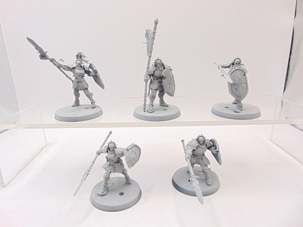 Vindictors