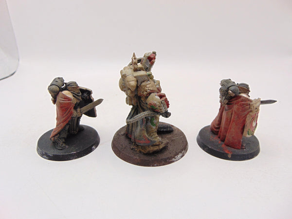 Marneus Calgar with Victrix Honour Guard