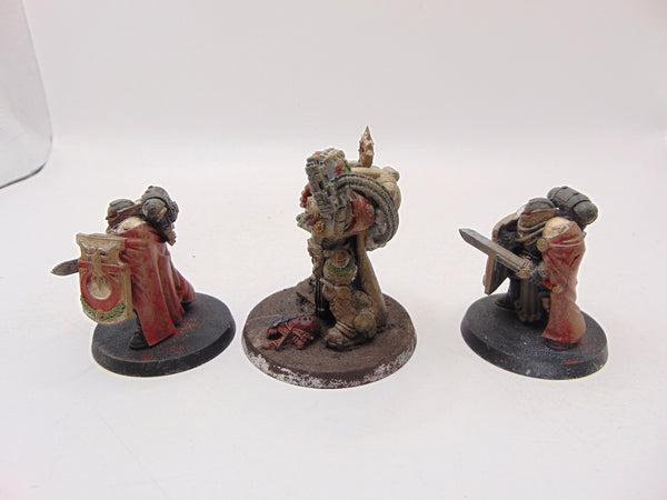 Marneus Calgar with Victrix Honour Guard