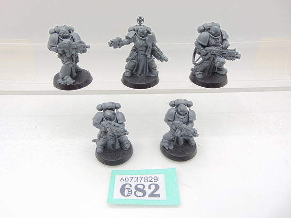 Sternguard Veterans