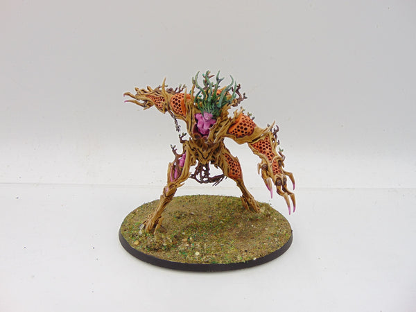 Drycha Hamadreth