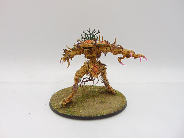 Drycha Hamadreth