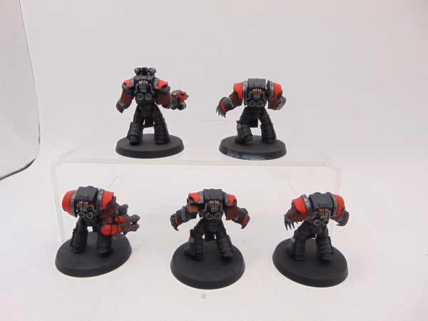 Cataphractii Terminator Squad