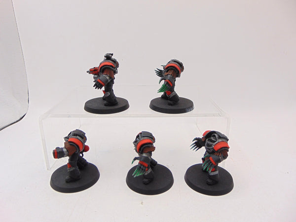 Cataphractii Terminator Squad