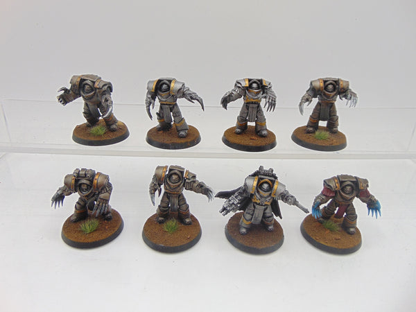 Cataphractii Terminator Squad