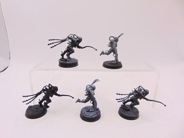 Arco Flagellants