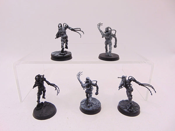 Arco Flagellants