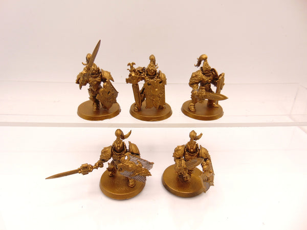 Custodian Guard