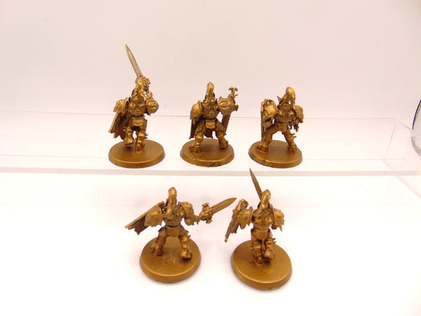 Custodian Guard