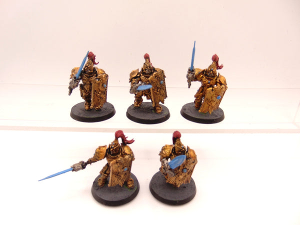 Custodian Guard