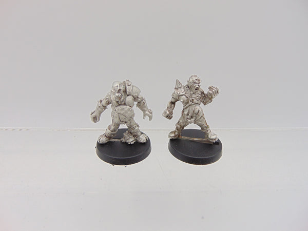 Nurgle's Rotters