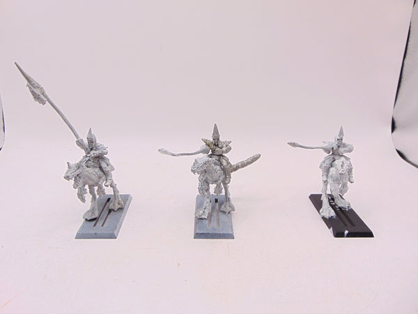 Dark Elf Cold One Knights