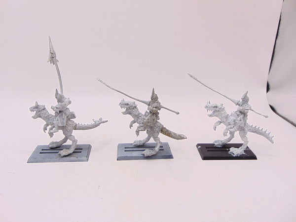 Dark Elf Cold One Knights