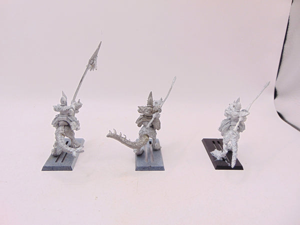 Dark Elf Cold One Knights