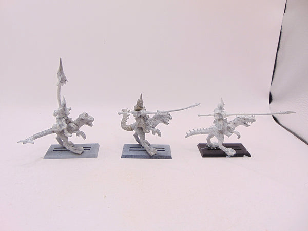 Dark Elf Cold One Knights