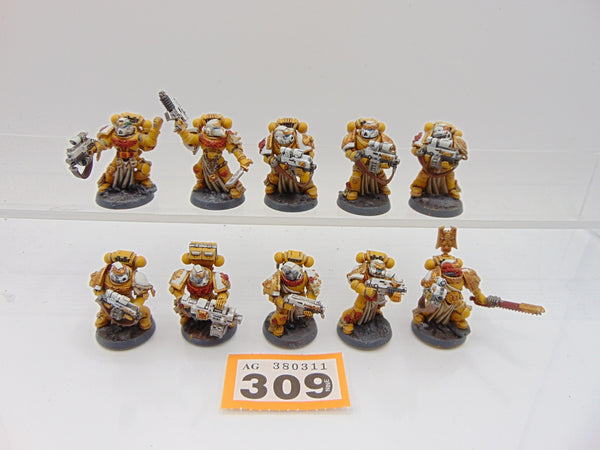 Sternguard Veterans