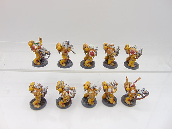 Sternguard Veterans