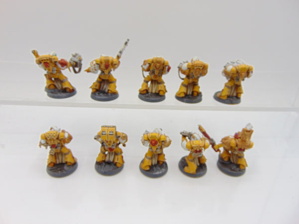 Sternguard Veterans