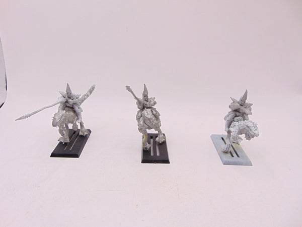 Dark Elf Cold One Knights