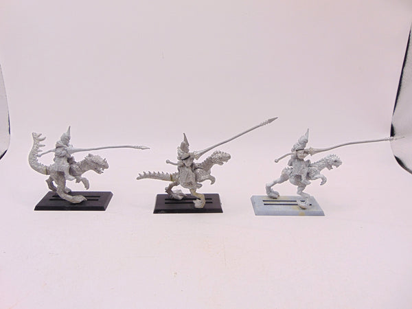 Dark Elf Cold One Knights