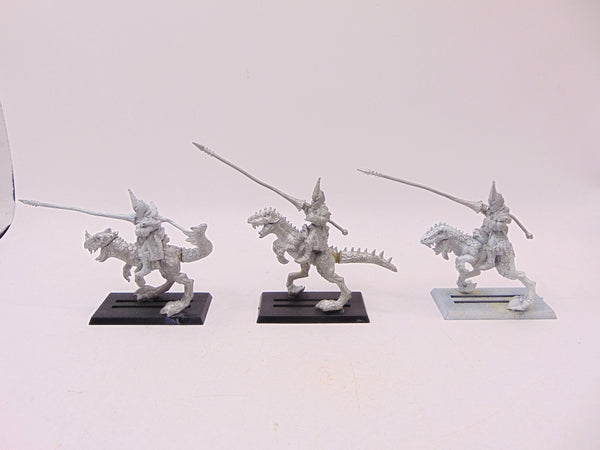 Dark Elf Cold One Knights