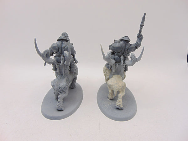 Mournfang Cavalry Pack