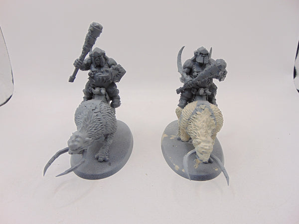 Mournfang Cavalry Pack
