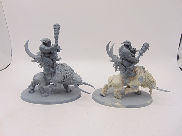 Mournfang Cavalry Pack