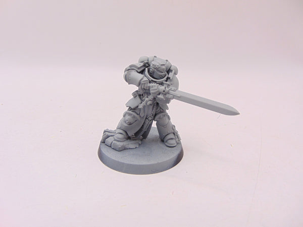 Primaris Company Champion