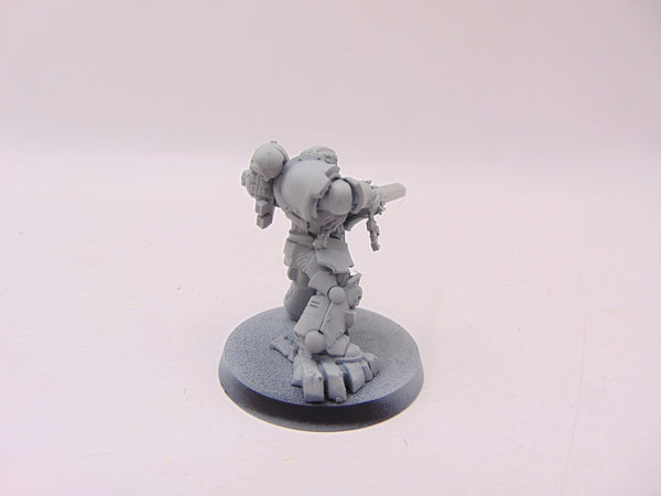 Primaris Company Champion