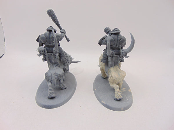 Mournfang Cavalry Pack
