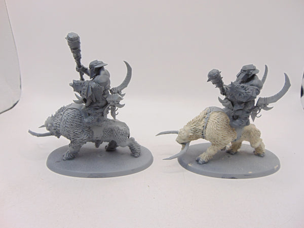 Mournfang Cavalry Pack