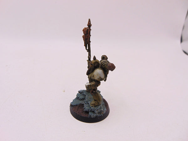 Plague Marine Icon Bearer