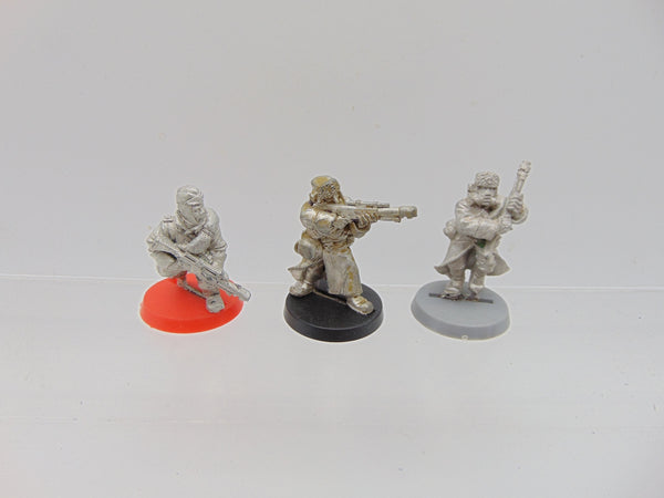 Valhallan Ice Warriors Troopers