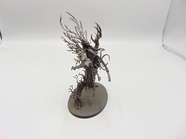 Treelord Ancient
