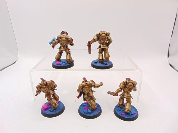Assault Intercessors