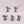 Purgation Squad