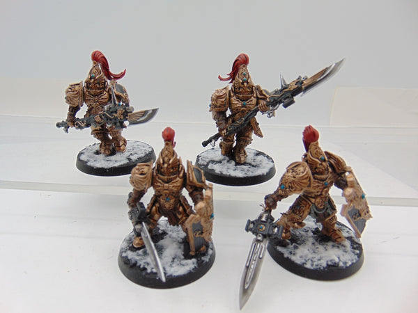 Custodian Guard Squad